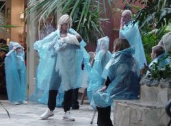 this was their punishment for250 this was their punishment for250