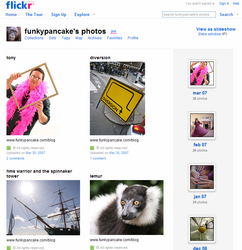 flickr%20screenshot.png