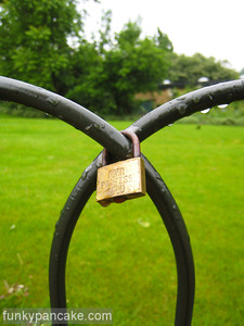 080528_850_img_8678.jpg