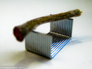 090706_850_img_4371.jpg