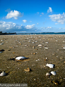 100122_850_img_7863.jpg