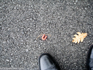 100210_850_img_8190.jpg