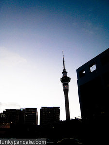 100331_850_img_9069.jpg