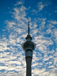 100331_850_img_9073.jpg