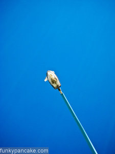 100402_850_img_9136.jpg