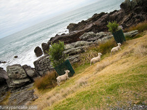 100403_850_img_9165.jpg
