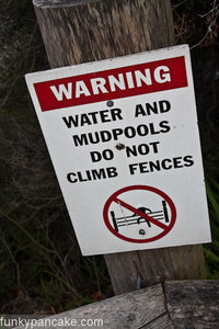 100406_450d_img_4895.jpg