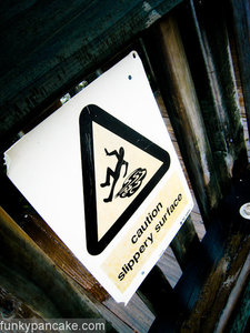 100406_850_img_9306.jpg