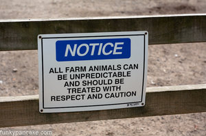 100407_450d_img_4965.jpg