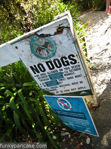100418_850_img_9649.jpg