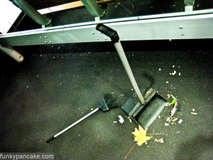 100504_850_img_9925.jpg