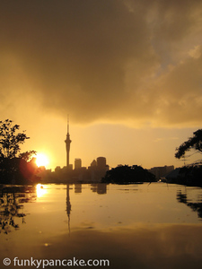 100629_850_img_0874.jpg