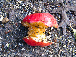 100730_850_img_1359.jpg
