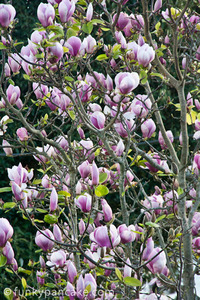 100822_450d_img_7422.jpg
