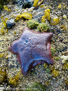 100828_850_img_1964.jpg