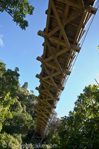 100927_450d_img_8442.jpg
