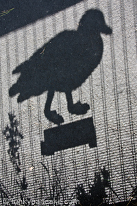 100927_450d_img_8447.jpg