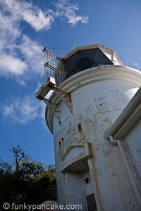 100928_450d_img_8501.jpg