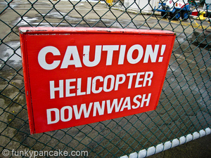 100929_850_img_2565.jpg