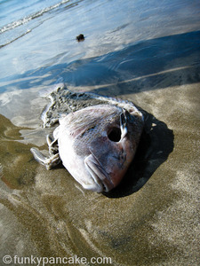 101009_850_img_2705.jpg