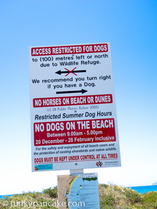 110108_s95_img_1401.jpg