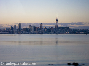 110315_s95_img_2837.jpg