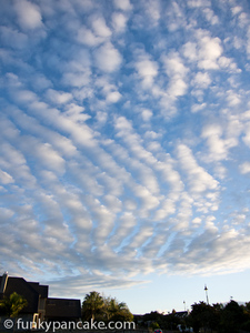110315_s95_img_2861.jpg