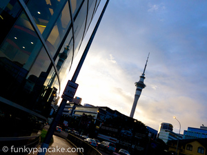 110318_s95_img_2883.jpg