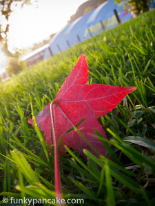 110408_s95_img_3190.jpg