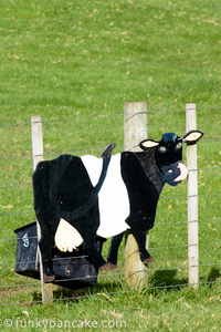 110508_450d_img_2117.jpg