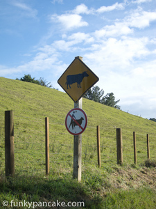 110723_s95_img_4476.jpg