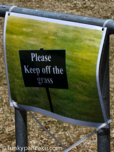 111108_s95_img_6430-2.jpg