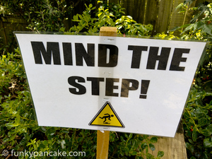 111113_s95_img_6501.jpg