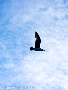 111123_s95_img_6662.jpg