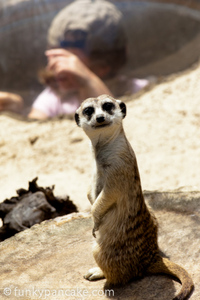 111127_450d_img_3415.jpg
