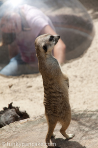 111127_450d_img_3416.jpg