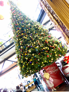 111205_s95_img_6883-2.jpg