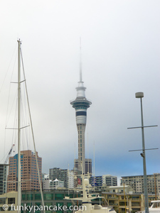 111206_s95_img_6888.jpg