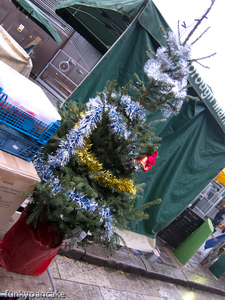 111221_s95_img_7643.jpg