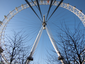 111222_s95_img_7795.jpg