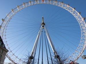 111222_s95_img_7797.jpg