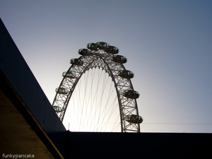 111222_s95_img_7800.jpg