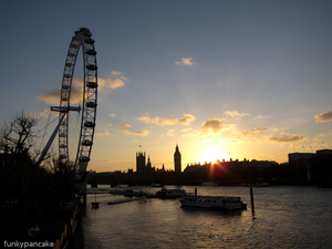 111222_s95_img_7811.jpg