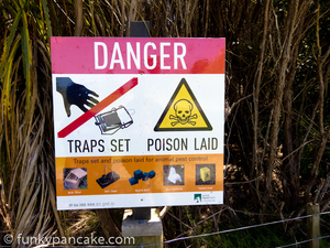 120131_s95_img_9074.jpg