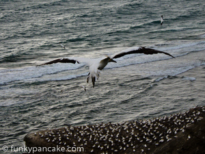 120224_s95_img_9310.jpg