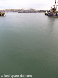 120307_s95_img_9534.jpg