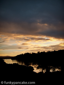 120308_s95_img_9562.jpg