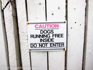 120310_s95_img_9703.jpg