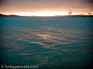 120313_s95_img_9748.jpg