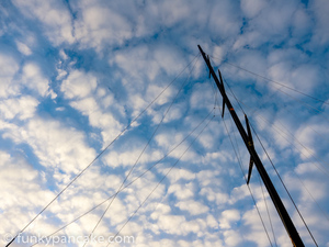 120314_s95_img_9802.jpg